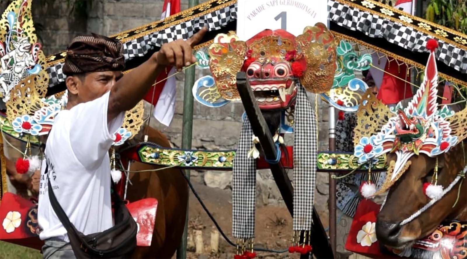 Lovina Festival Tahun 2025 Dimeriahkan Parade Sapi Gerumbungan