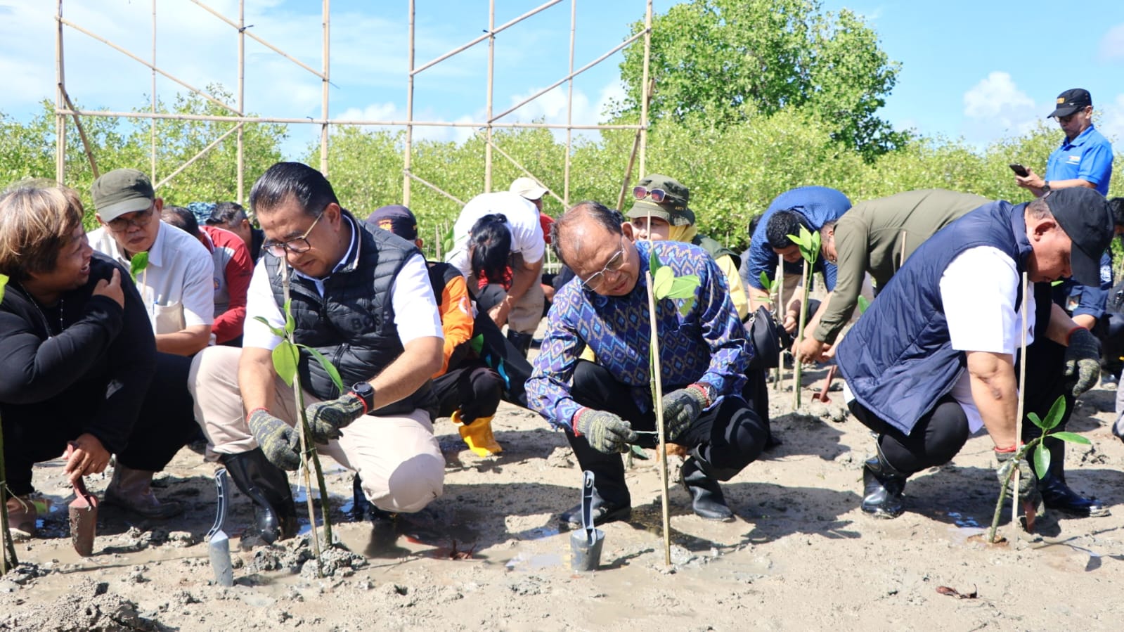 Gubernur Koster Apresiasi Gerakan Tanam Mangrove Inisiatif Kemendagri, Seleras Program Pemprov Bali